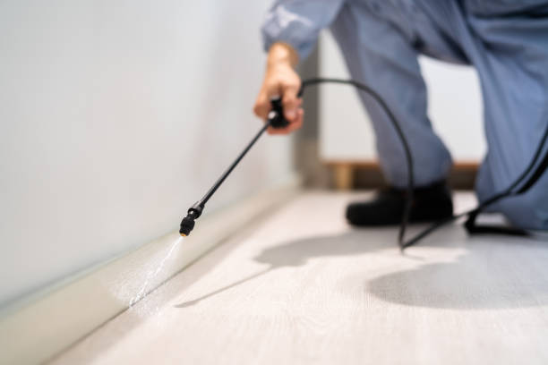 Rodent Entry Point Assessment in Unionville