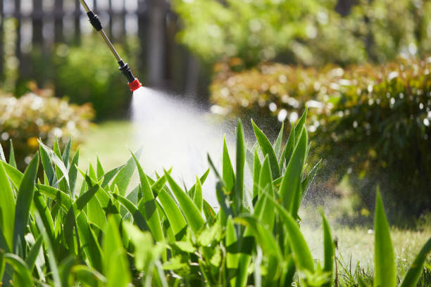Tamper-Resistant Bait Stations for Rodents in Unionville