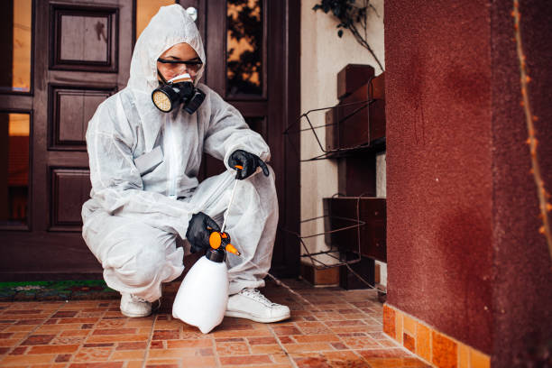 Attic and Crawl Space Rodent Treatment in Unionville
