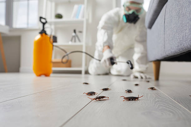 Commercial Rodent Management in Unionville